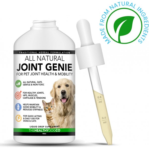 Healthy Dog Co All Natural Joint Genie | 강직을 위한 건강 보조 식품, 노령견 케어 | 악마의 발톱 개 | 효과적인 도움 관절 개 | 100인분 | 공동 케어 개