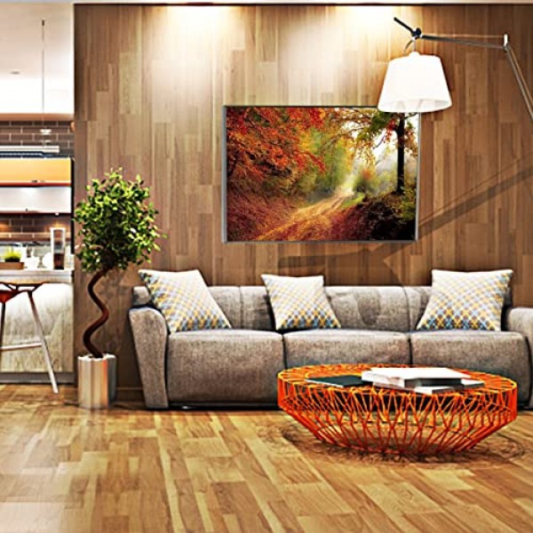 사진이 있는 냉간 적외선 히터, 이중 과열 보호 기능이 있는 적외선 전기 난방 장치, 흰색 벽걸이형 전기 라디에이터 난방 패널, TÜV, GS에서 테스트함(SF-960W-