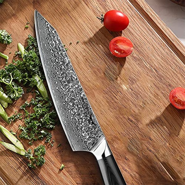 ONEONTA 셰프 나이프 - 일본 셰프 나이프 8인치 - 다마스커스 주방 칼 전문가용 - 일본 AUS-10V 강철, G10 핸들, 67레이어