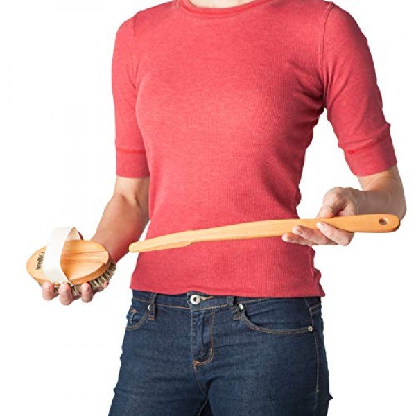 탈착식 스팀 너도밤나무 손잡이가 있는 Redecker Wellfit 목욕 브러시, 100% 독일산, 혼합 말총 및 식물 섬유 강모, 길이 17-1/2인치