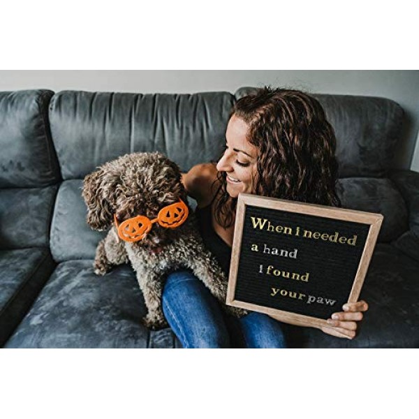 Arteza 펠트 문자판 문자, 500개의 문자, 숫자 및 기호 세트, 금 및 은, 1인치, 카페, 사무실, 학교, 레스토랑 또는 가정의 간판, 메시지 보드용