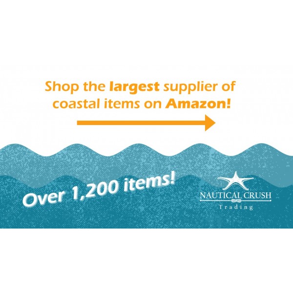 멍청한 불가사리 | 12 노비 불가사리 흰색 3