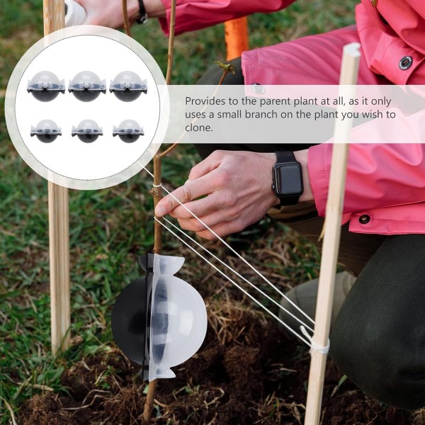 YARNOW 6Pcs 식물 뿌리 장치 고압 전파 공 고압 상자 접목 효과적인 무성 생식 장비 검은 뿌리 상자 뿌리 공