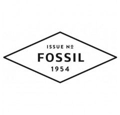 Fossil 여성용 Sadie Tri-Tone Navette Drop Earring, JF02777998 + Fossil Tri-Tone Navette Bracelet Tri-tone Navette 목걸이