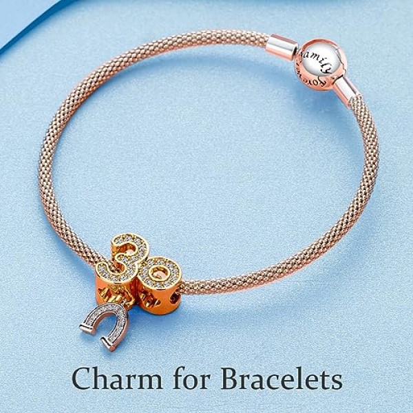 RMMY 매력 펜던트 S925 스털링 실버 가족 심장 사랑 팔찌 구슬 유럽 팔찌 목걸이 남성과 여성을위한 어머니의 날 보석 선물 크리스마스