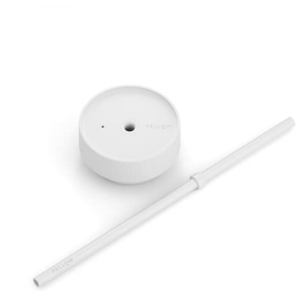 Fellow 물, 아이스티, 커피, 스무디, 아이스 커피 등을 위한 16온스 카터 콜드 여행용 머그 - 유출 방지 뚜껑과 빨대가 포함된 스테인리스 스틸 진공 단열 아이스 커피 텀