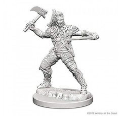 D&D Nolzur의 놀라운 미니어처: 인간 남성 레인저