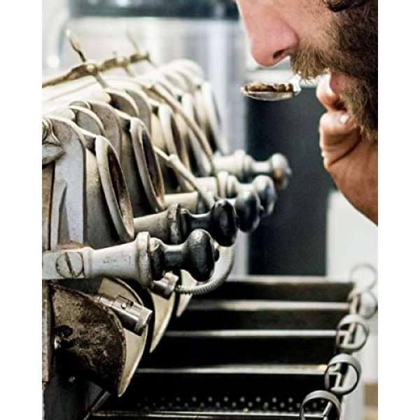 V Vescovi Grani D'oro 100% 아랍어 | 프리미엄 이탈리안 에스프레소 원두 | 미디엄 로스트 | 2.2파운드/1kg