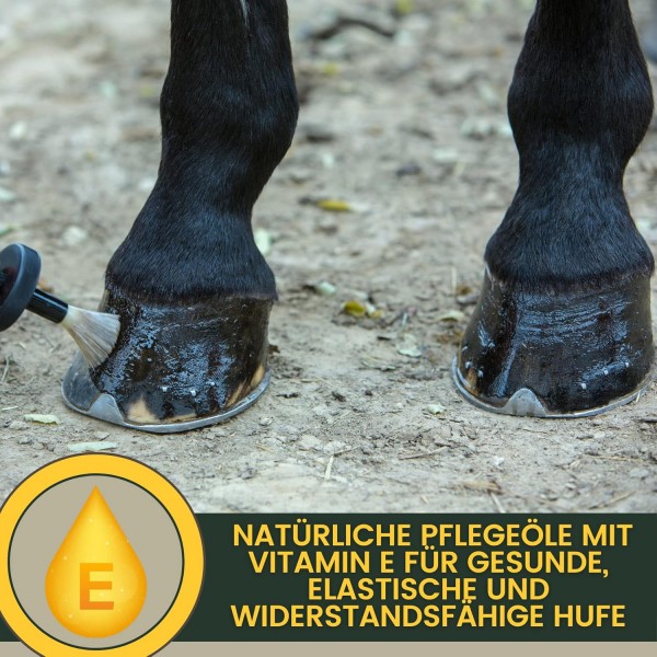 브러시가 있는 EMMA 발굽 오일 말 480ML 발굽 밤 말 - 발굽 살찐 말 I 발굽 관리 발굽 및 개구리 I 건조 발굽에 대항 I 발굽 경화제 말 I 말용 발굽 연고 I 브러시 병 - 빠른 