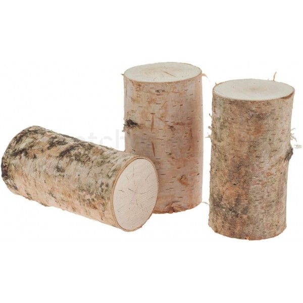 matches21 자작나무줄기 나무줄기 스트레이트 컷 - 나무줄기 천연소재 DIY 수공예 재료 - 각 1개. 높이 약 30cm