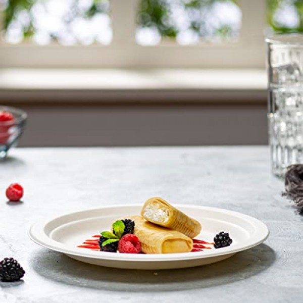 편안한 패키지, 100% 퇴비화 가능 고강도 종이 접시 친환경 일회용 사탕수수 접시 125팩 - 9인치