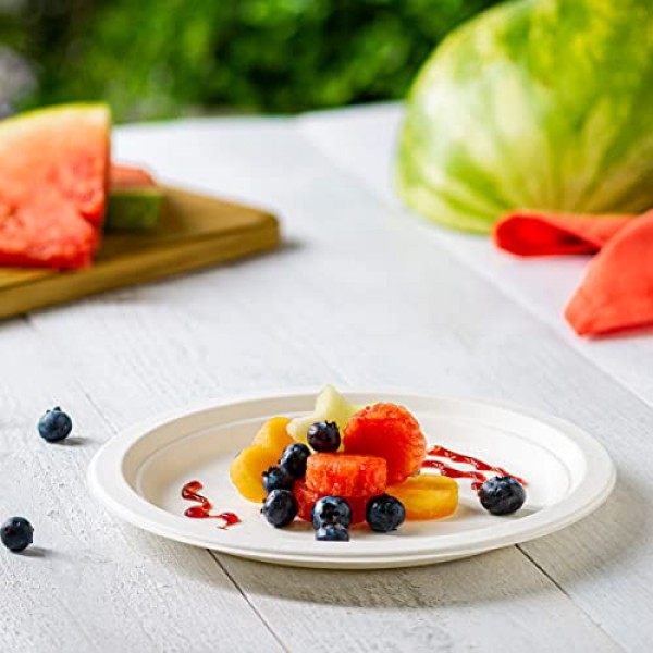 편안한 패키지, 100% 퇴비화 가능 고강도 종이 접시 친환경 일회용 사탕수수 접시 125팩 - 9인치