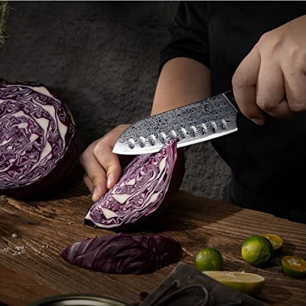 FANTECK 산토쿠 칼 5인치 다마스커스 일본 강철 주방 칼, VG10 67층 고탄소 풀 탱 프로 셰프 및 레스토랑용 최고의 요리사 산토쿠 칼, 블루 G10 손잡이, 선물 상자 및 칼집