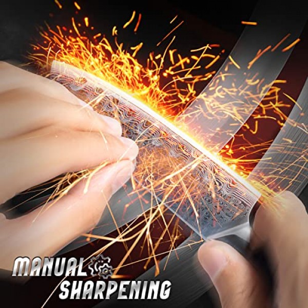 FANTECK 산토쿠 칼 5인치 다마스커스 일본 강철 주방 칼, VG10 67층 고탄소 풀 탱 프로 셰프 및 레스토랑용 최고의 요리사 산토쿠 칼, 블루 G10 손잡이, 선물 상자 및 칼집