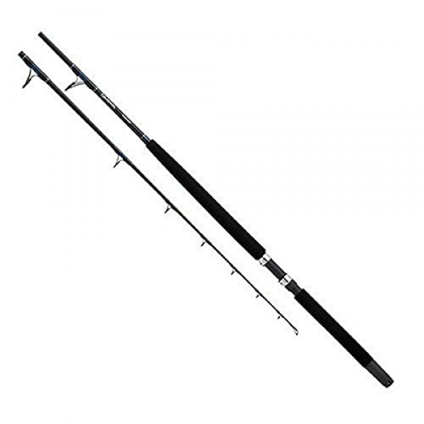 Daiwa SLN66XHR 씨라인 보트 로드, 6'6 길이, 1피스 로드, 40-80lb 라인 등급, 초중력