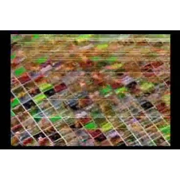 아케이드 클래식 볼륨 1 - Nintendo Wii