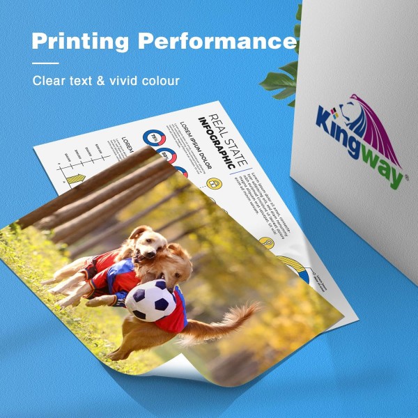 Kingway LC3219XL 잉크 카트리지 Brother LC3219XL LC3217 잉크 Brother MFC-J5330DW MFC-J5730DW MFC-J5930DW MFC-J6530DW MFC-J6930DW MFC-J6935DW MFC-J6935DW MFC-J6935D3 MFCW3