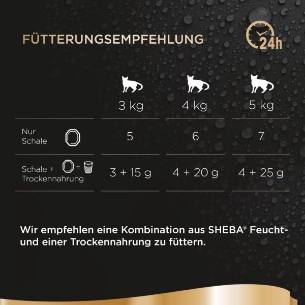 Sheba Perfect Portions 습식 고양이 사료 - 고양이용 고품질 습식 사료 48개 - 노블 치킨 파이 - 고양이 사료 - 8개들이(37.5g 8개 x 6개)