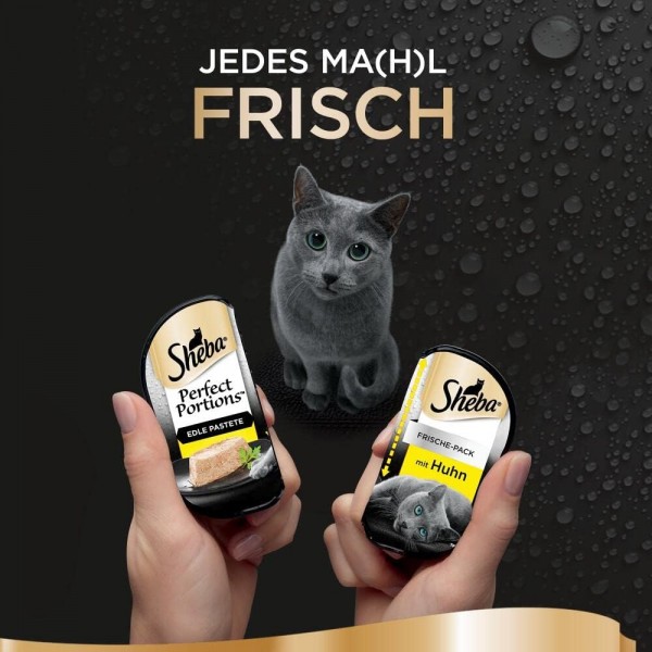 Sheba Perfect Portions 습식 고양이 사료 - 고양이용 고품질 습식 사료 48개 - 노블 치킨 파이 - 고양이 사료 - 8개들이(37.5g 8개 x 6개)