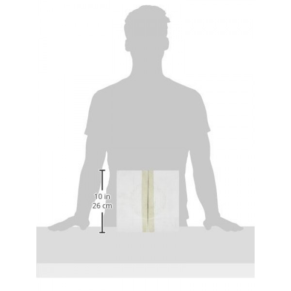 중심 부품 121.42061 C-Tek 표준 브레이크 로터