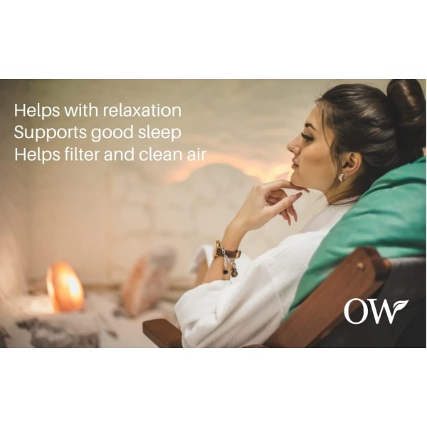 오리지널 100% 퓨어 핑크 히말라야 암염 램프(2-3kg) | 수딩 릴랙싱 글로우 | 내츄럴 데코 | Organic Wonders®의 정통 핑크 크리스탈