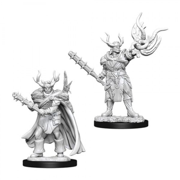 WizKids Pathfinder, 도색되지 않은 미니어처를 깊게 잘라냄: 10차 웨이브: 남성 하프 오크 드루이드