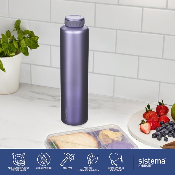 Sistema Hydrate 스테인레스 스틸 물병 | 600ml | BPA 무료 | 이중 벽 진공 절연 금속 물병 | Keeps Liquid Hot & Cool 600ml 모듬