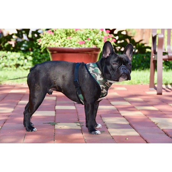 Parisian Pet Freedom Dog Harness, Camo, XS XS Camo