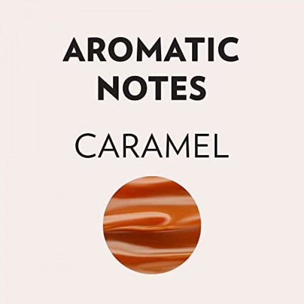 Lavazza Perfetto 분쇄 커피 블렌드, 다크 로스트, Value Pack, Non-GMO, 100% 아라비카, 풀바디, 12온스(6팩)