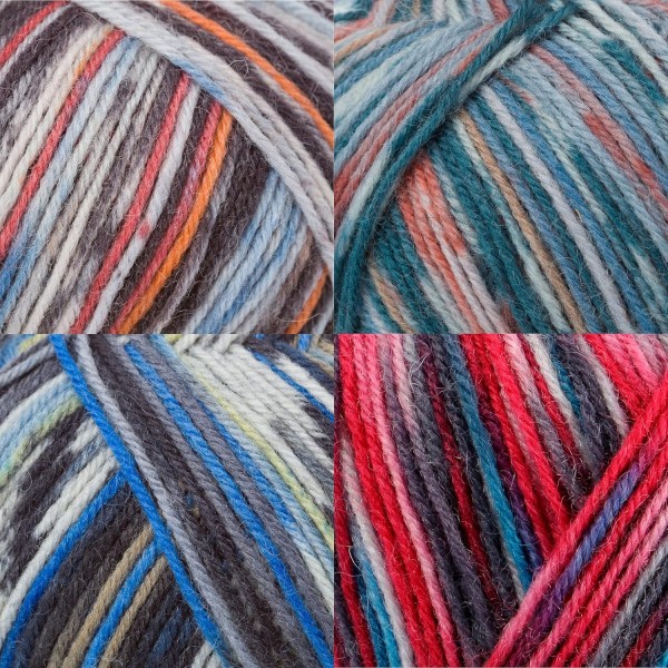 Schachenmayr Regia 4-Fädig 컬러 디자인 라인, 세트 set02 Handstrickgarne