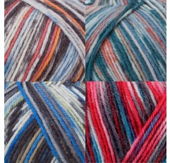 Schachenmayr Regia 4-Fädig 컬러 디자인 라인, 세트 set02 Handstrickgarne