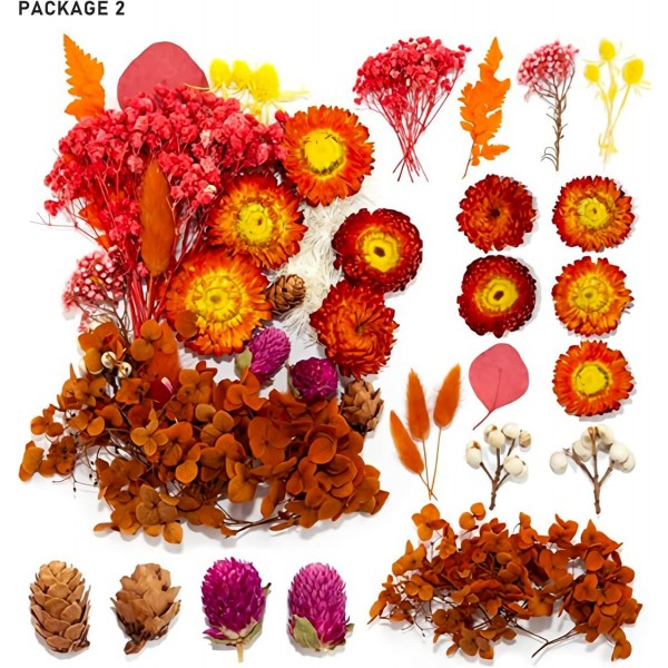 Vegena 자연 말린 꽃-3 상자 말린 꽃 누르면 꽃 DIY 자연 말린 꽃 세트 예술 공예에 대 한 혼합 말린 잎 DIY 수 지 양초 Scrapbooking