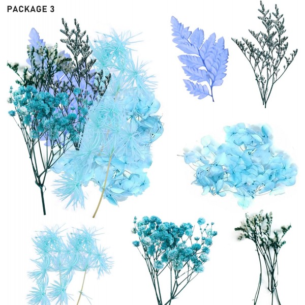 Vegena 자연 말린 꽃-3 상자 말린 꽃 누르면 꽃 DIY 자연 말린 꽃 세트 예술 공예에 대 한 혼합 말린 잎 DIY 수 지 양초 Scrapbooking