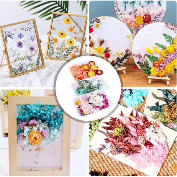 Vegena 자연 말린 꽃-3 상자 말린 꽃 누르면 꽃 DIY 자연 말린 꽃 세트 예술 공예에 대 한 혼합 말린 잎 DIY 수 지 양초 Scrapbooking