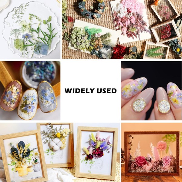 Vegena 자연 말린 꽃-3 상자 말린 꽃 누르면 꽃 DIY 자연 말린 꽃 세트 예술 공예에 대 한 혼합 말린 잎 DIY 수 지 양초 Scrapbooking