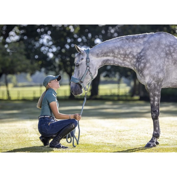 LeMieux Vogue Fleece Headcollar 및 Leadrope Halfter Cob graugrün