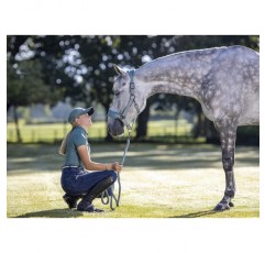 LeMieux Vogue Fleece Headcollar 및 Leadrope Halfter Cob graugrün