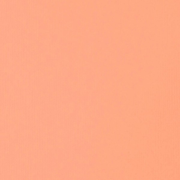 Liquitex 4417810 아티스트 품질의 프로페셔널 헤비 바디 아크릴 페인트, 버터 같은 일관성의 탁월한 내광성, 138ml 튜브 - 포트레이트 핑크 라이트 138ml(1팩) 포트레이트 핑