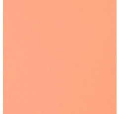 Liquitex 4417810 아티스트 품질의 프로페셔널 헤비 바디 아크릴 페인트, 버터 같은 일관성의 탁월한 내광성, 138ml 튜브 - 포트레이트 핑크 라이트 138ml(1팩) 포트레이트 핑