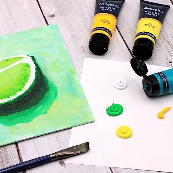 Artecho 전문 아크릴 페인트 세트, 20가지 기본 색상(120ml / 4.05oz) 튜브, 캔버스, 암석, 석재, 목재, 직물, 미술 용품용 미술 공예 페인트