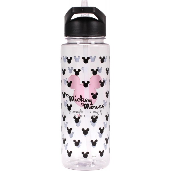 Disney Mickey Maus Wasser Flache???If you can dream it