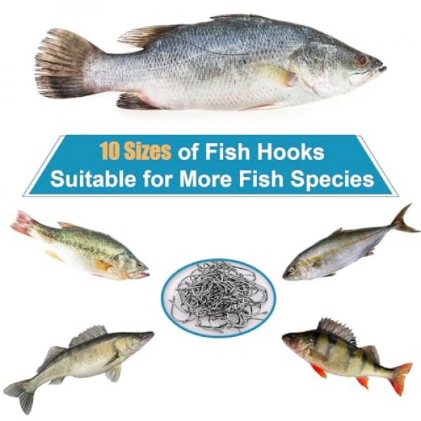 500PCS/100PCS ReeMoo 프리미엄 낚시 후크, 10 크기/4 크기 휴대용 플라스틱 상자가 있는 탄소강 낚시 후크, 민물/해수용 바브가 있는 강력한 날카로운 물고기 후크