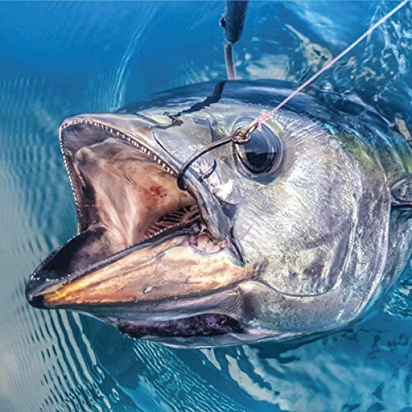 Mustad Demon Perfect Circle, 인라인 1X 가는 와이어 - 블랙 니켈 크기 3/0 - 25개 팩