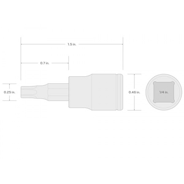 TEKTON 1/4인치 드라이브 x T6 Torx 비트 소켓 | SHB04206