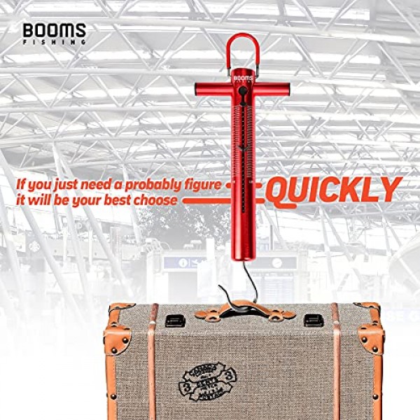 붐 낚시 TS1 알루미늄 튜브 스프링 및 후크 스케일 50LB/22KG