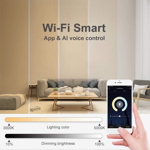 LVL LED 스마트 평면 천장 조명 WiFi Tuya 앱 AI 음성 제어 Alexa Echo Google 홈 24W 라운드 D30cm 디 밍이 가능한 현대 표면 실장 천장 조명 거실 주방 침실 사무실 (블랙)