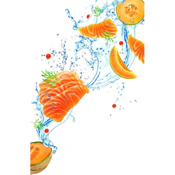 Tefal Fresh Kitchen K12201 Santoku-Messer 12cm, 안트라지트/오렌지 12cm Santoku-Messer