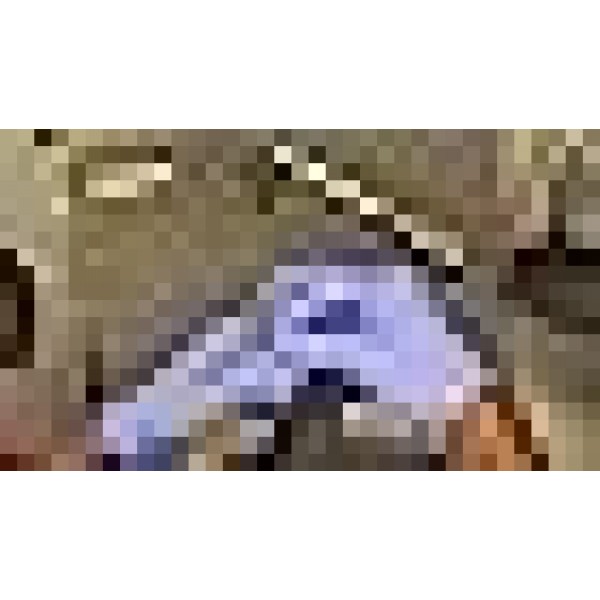 GAMMA+ 교체용 스테인레스 스틸 얕은 치아 이동 클리퍼 블레이드