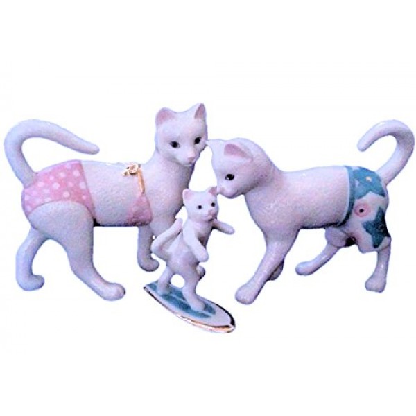 레녹스 키티의 서핑 레슨 843177