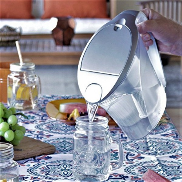 Clear2O 고급 중력 정수 필터 피처, 48온스, 실버